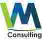 VM Consulting South Africa logo